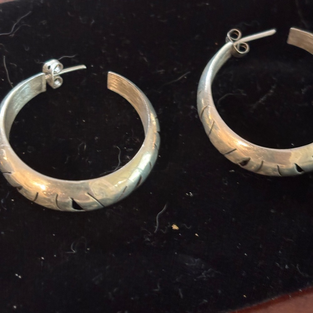 Chic Silver Hoop Earrings